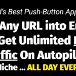 trafficzion review